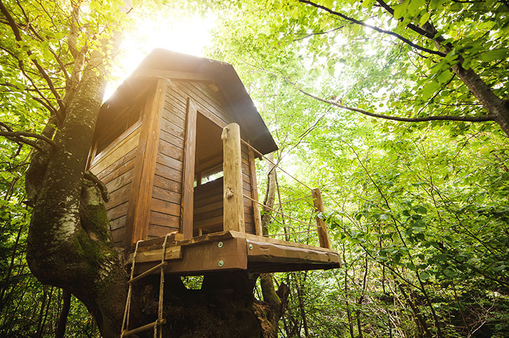 Tree house for kids