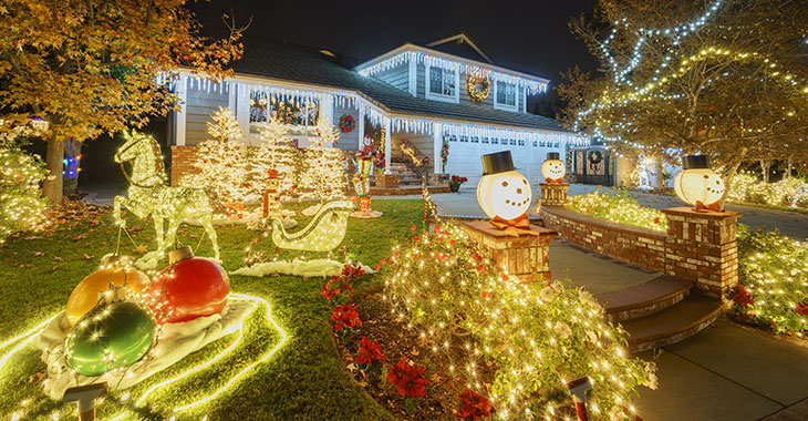 Professional Holiday Light Services